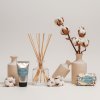 1 2235 CB Cotton Flower Coffret diffuser soap handcream