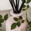 2 2804 PC Rosé Blush 250mL Fragrance Diffuser New 1 squared