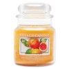 4160304 Citrus Zest Medium Glass Dome