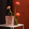 2 2824 PC Rosé Blush Four Wick Candle New 1 square
