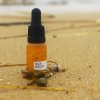 Face Serum  Pleťové sérum s kávovým olejem, 10 ml