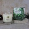 LMC1009 Nordic Pine Candle (2)