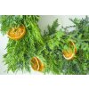 WinterClementine Details1