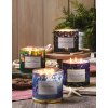 2023 New Luminaries Collection