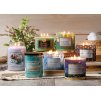 Assorted Candle Collection 2023