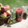 apples evergreen 1