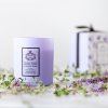 Lavanda tomilho 2 2048x2048