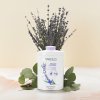 Yardley Body Powder English Lavender Shot 16bHighRes UPR