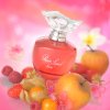 ROSE LAND LOVE Yves de Sistelle ambiance (1)