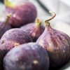 gle rosa fig