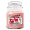 4160319 Dragon Fruit Lemonade Medium Dome
