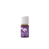 Huile Essentielle Lavandin 10 ml