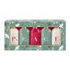 Winter Wonderland - sada s péčí o tělo, 5 ks  sváteční dárkový set kosmetických produktů s tradičními vánočními vůněmi, 5x100 ml