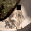 salis edp2