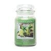 4260469 Melon Mojito Large Glass Dome