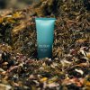 SFS SeaKelp Body Wash 200ml 6