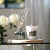 Verveine Monet upr