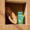 shampooing nature morte + ingredient upr