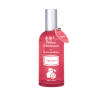 esprit provence agrumes interierovy sprej