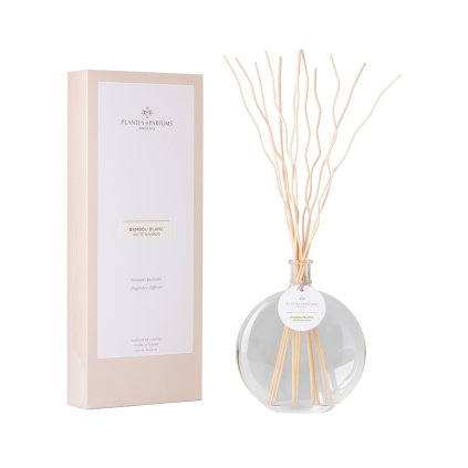 070553 Buchet prestigiu Bambus