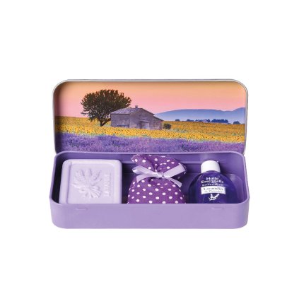 66711 1 slunecnicove pole