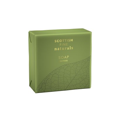69813 coriander lime leaf