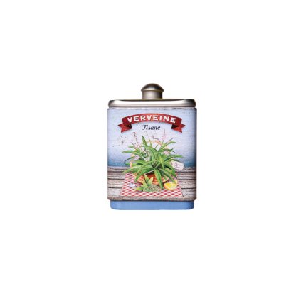 76231 verbena
