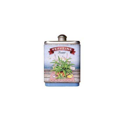 76231 verbena