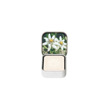 82682 edelweiss