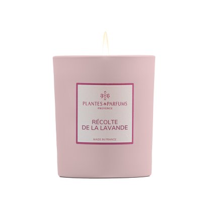 83717 recolte de la lavande