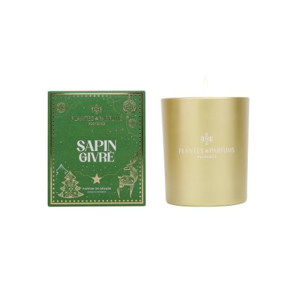 upr 379208 01 bougie sapin etui web