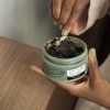 OnSkinLifestyle 2 BodyScrubPeppermint LR upr