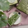 esprit provence măsline (5)