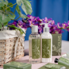 esprit provence măsline (10)