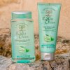 shampooing micellaire soin purifiant aloe vera the vert complementaire