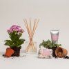 1 1535 CB White Jasmin Coffret difuzor săpun cremă de mâini 2