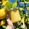 lămâie proaspătă 33h