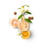 68874 3 amoremiogoldenrose 2 copie