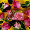 KGS0002 Kew Gardens Summer Rose Soap Bar