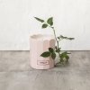 2 2801 PC Rosé Blush Candle New 2 squared