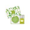 78690 citronova verbena