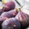 gle rosa fig