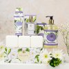 Family Bath & Body White Jasmine UPR
