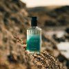 SFS SeaKelp Hand Wash 3