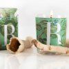 87923 1 rosemary mint 70g mood upr