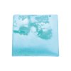 89606 pdeasea08g deadseasalt soapslice upr