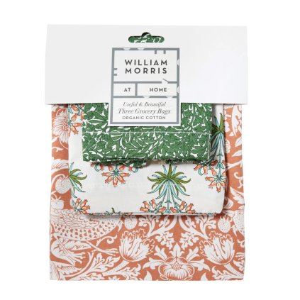 82007 william morris useful beautiful