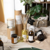 94156 3 santal cosy