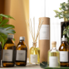 94012 5 santal cosy