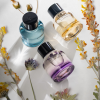 96684 3 candide bohemian soul